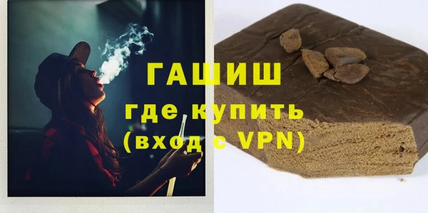 шишки Горняк