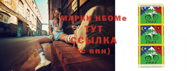 шишки Горняк