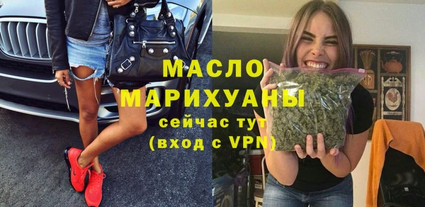 шишки Горняк