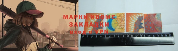 шишки Горняк