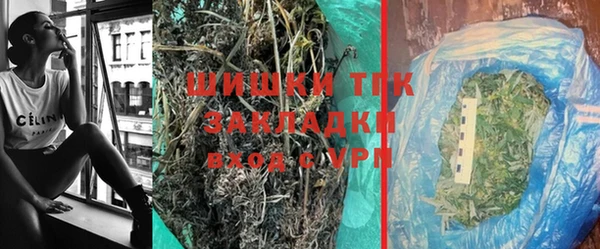 шишки Горняк