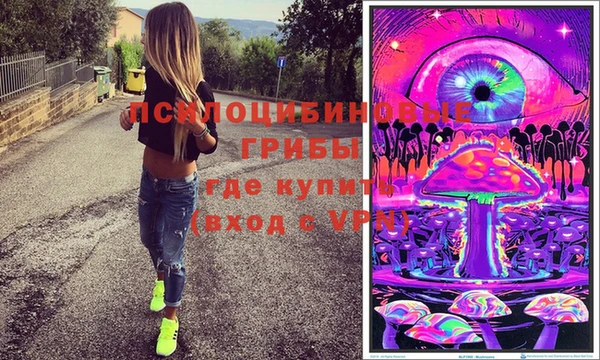 шишки Горняк