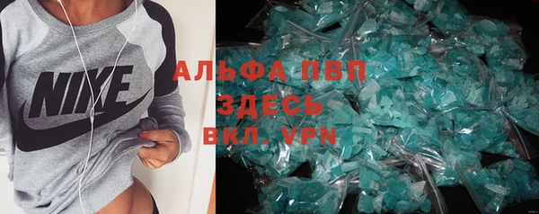 шишки Горняк
