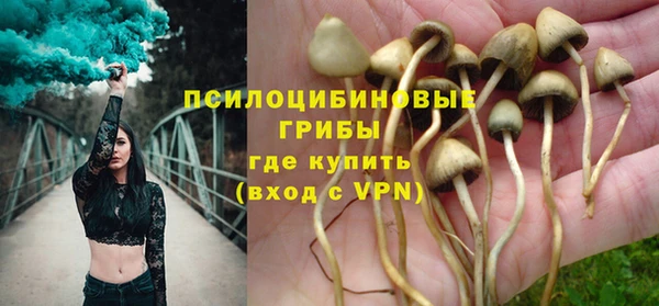 шишки Горняк