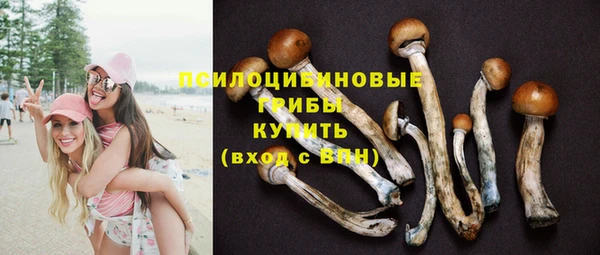 синтетический гашиш Горнозаводск