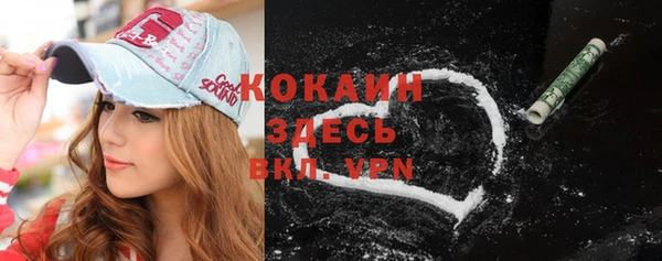 шишки Горняк
