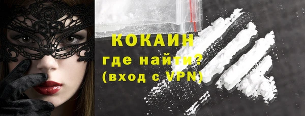 шишки Горняк