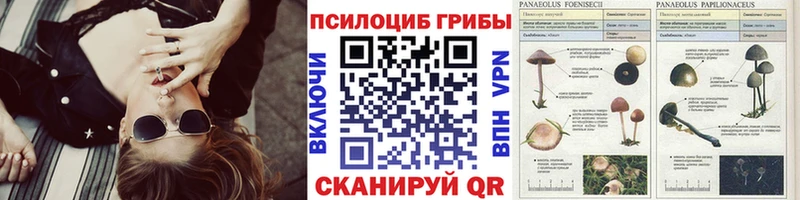 где продают   ОМГ ОМГ ТОР  Галлюциногенные грибы ЛСД  Заринск 