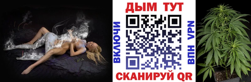 Бошки Шишки Amnesia  Заринск 